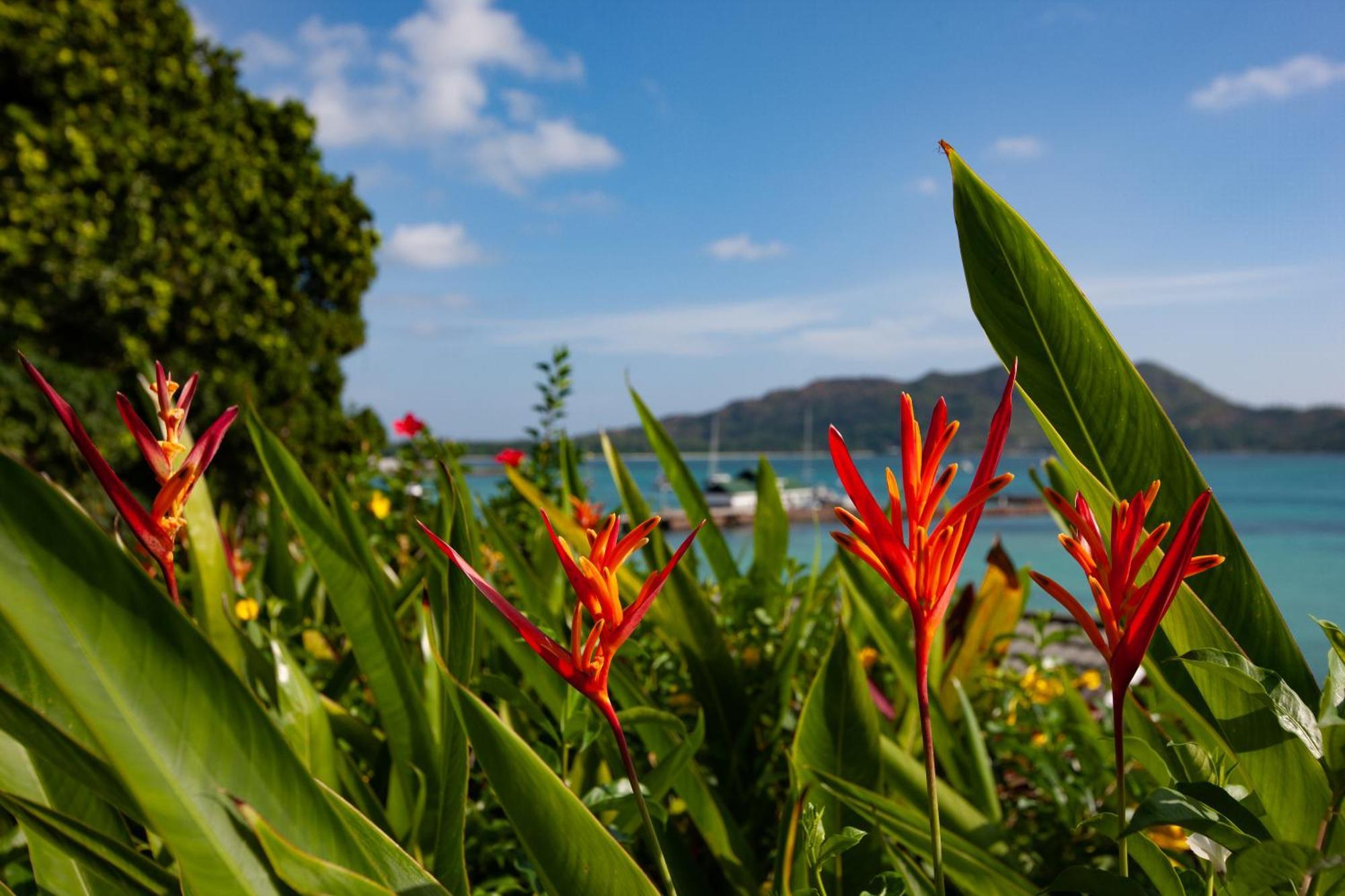 Colibri Hotel Baie Sainte Anne Exterior photo